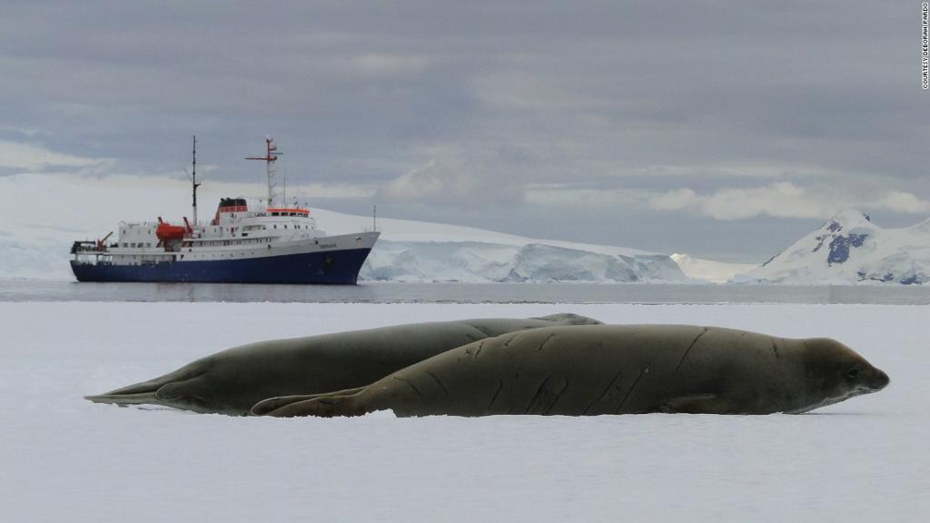 The Homeward Bound 2016 expedition was the largest-ever female voyage to Antarctica #internationalwomensday cnn.it/2lvKZto