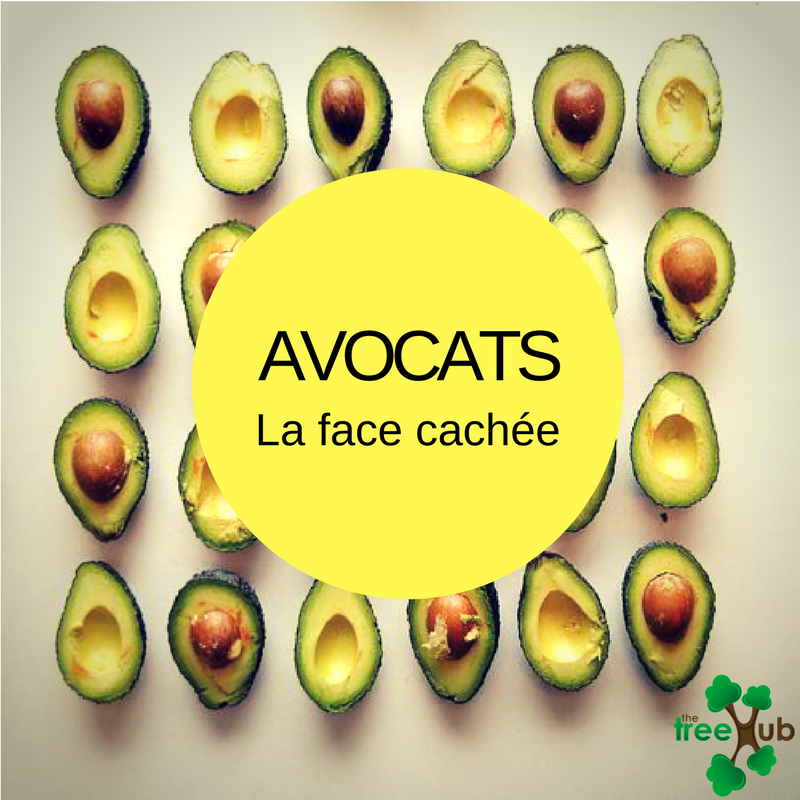 TheTreeHub's tweet image. Pour en savoir plus: thetreehub.com/entreprises-10…