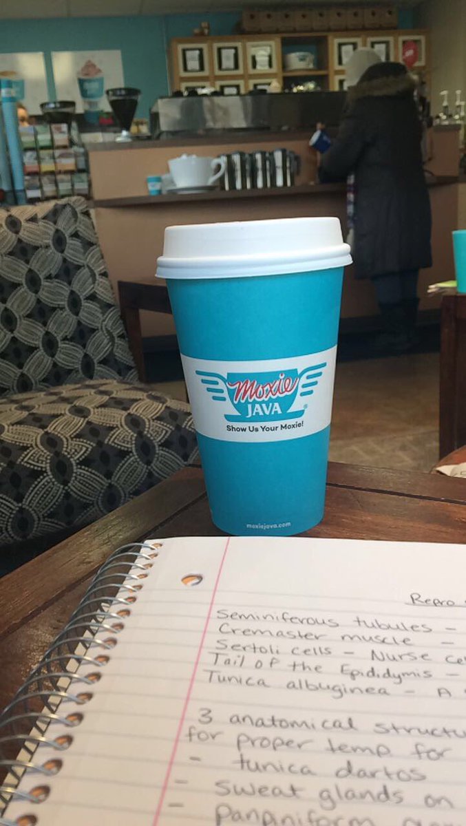 32Kingster's tweet image. My first time at #moxiejava. I approve.