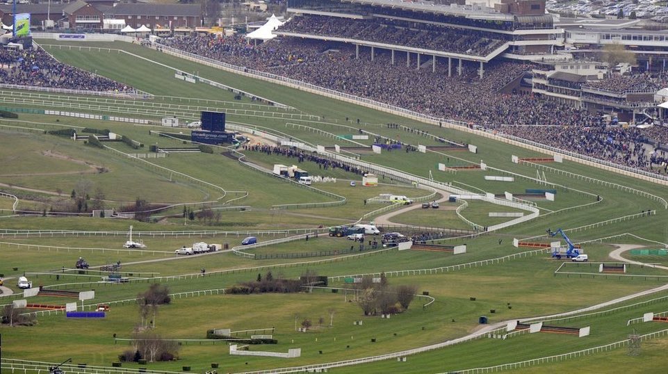 DemichelisTips's tweet photo. £200 sign up bonus for Cheltenham at Bet365! 

Claim here: https://t.co/q8W25L59HO

Plus best odds guaranteed and no runner no bet! https://t.co/sAJhx5RMu8