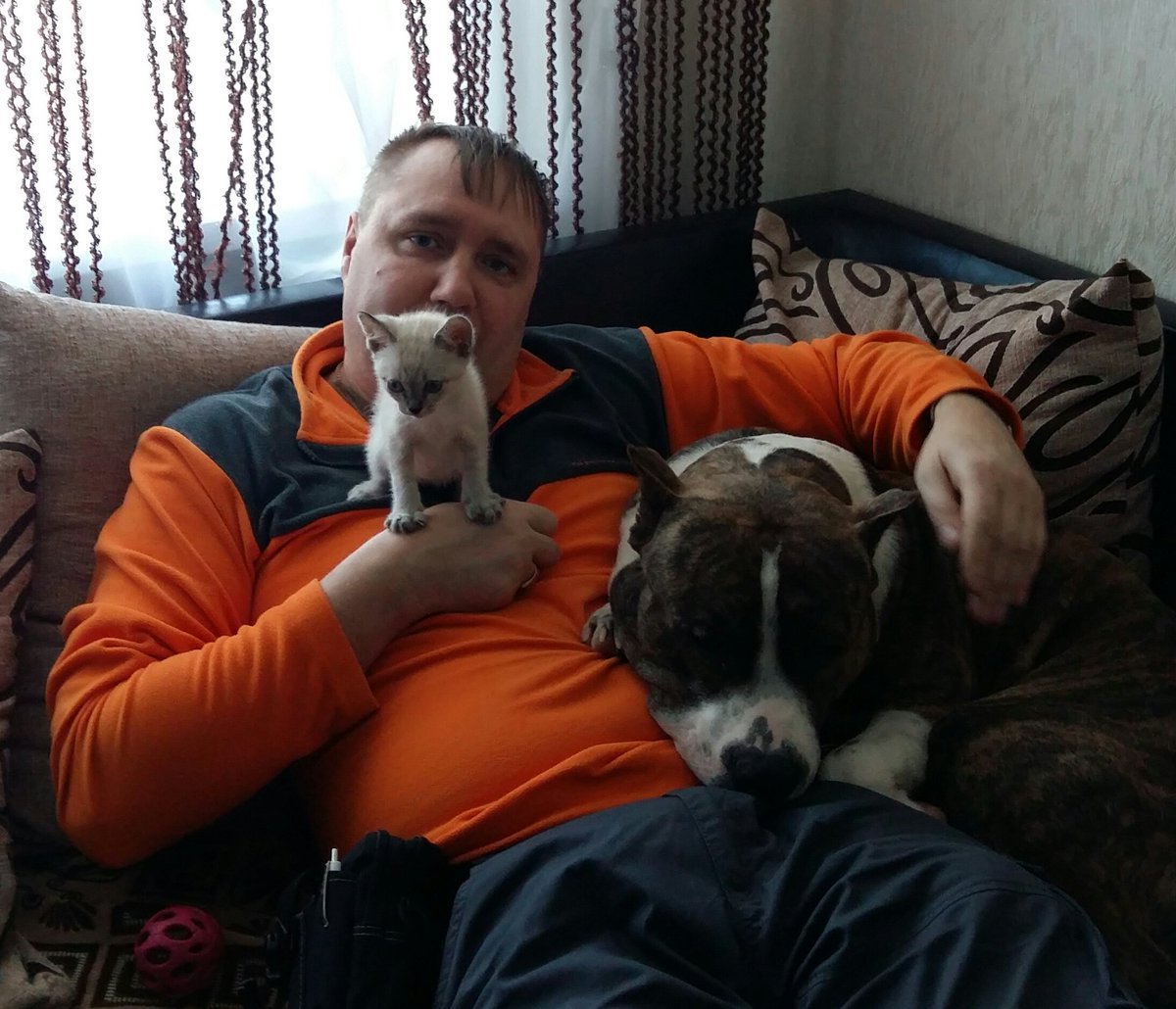 Алексей (@ag9379624646) on Twitter photo 