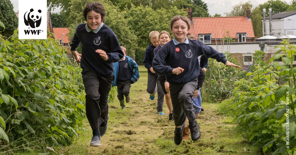 wwf_uk's tweet image. Nominations for the #GreenAmbassadors school Awards 2017 are now open! - Thanks to @PostcodeLottery  🌿  ow.ly/Kw4R309FItE