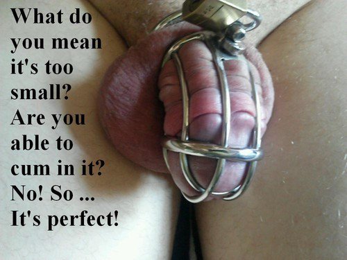 GoddessStern's tweet photo. https://t.co/xP7wKZd2ns
#keuschhaltung #chastity #cuckold #chastitybelt #keuschling #keuschheitsgürtel #peniskäfig #keyholderin #keusch https://t.co/93NgAo6Ma1