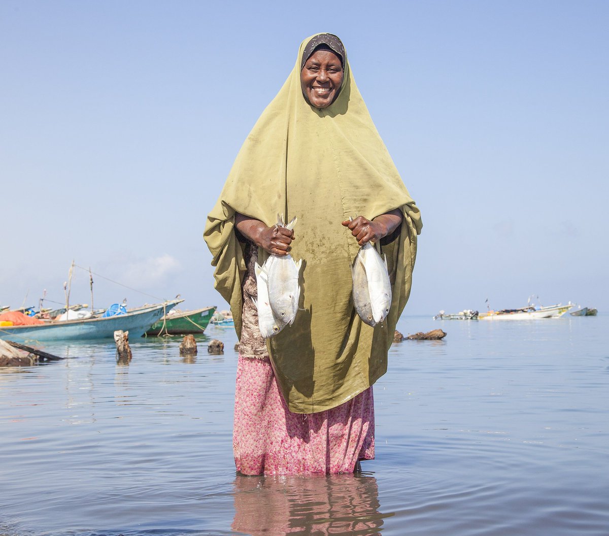 IOM_Dev tweet picture