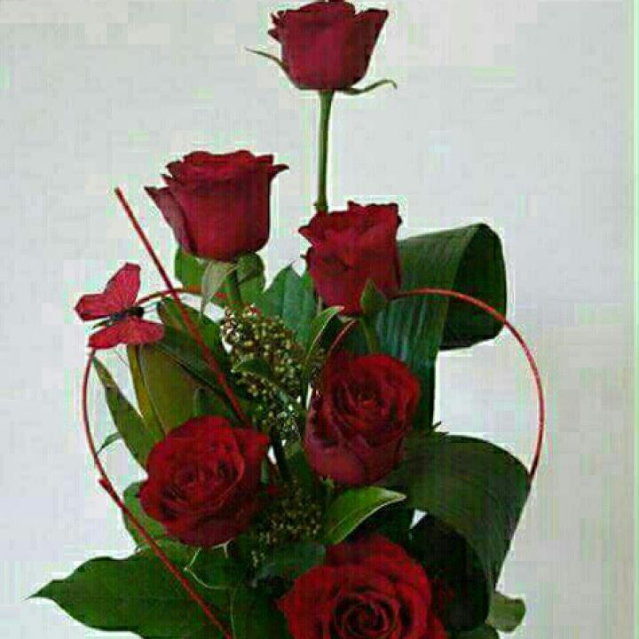 ahmedhs282's tweet photo. تعالوا انضموا الي > المحب #BIGOLIVE  https://t.co/uQZfW5rzqa https://t.co/Z5aefhvnBp