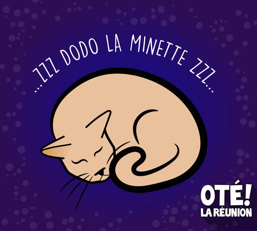 ote_lareunion's tweet photo. #Team974 Qui s'endormait en chantant Dodo la minette ? #LaReunion #otélaréunion https://t.co/7ONmyeFSjZ https://t.co/BrEAP1trQY