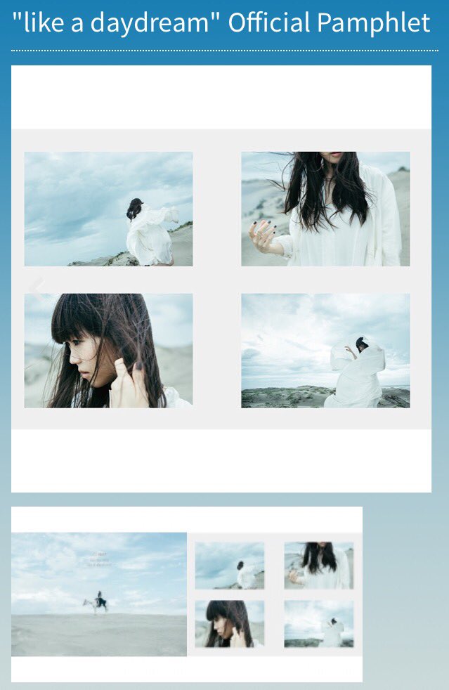 Aimerグッズ ■ daydream フォトブック ■ 　　 ★★希少★★ Aimerグッズ □ daydream フォトブック □ 希少