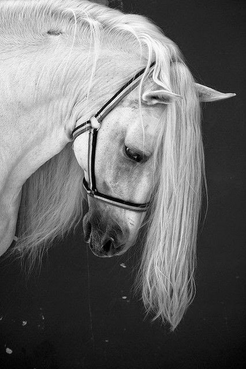 .
.
أشهد أن بعض المواقـف تحـدك للسكوت 
تجـبرك بـ الصمت لو أن في صدرك  كلام
.
.