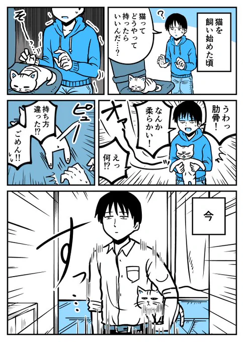 【漫画】猫を飼い始めた頃と今(持ち方編)
https://t.co/hfc7WJd5kO 