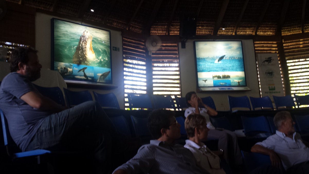 Continúa en Praia do Forte Taller Cetáceos y Mercurio con @IBaleiaJubarte  <a href="/CCO_Antartica/">CCO-Antártica</a> <a href="/FMalpelo/">Fundación Malpelo</a> <a href="/MinAmbienteCo/">MinAmbiente Colombia</a>