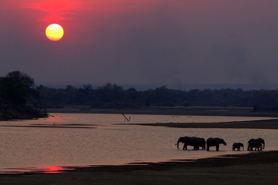 Wifi Worker Bees tweet media