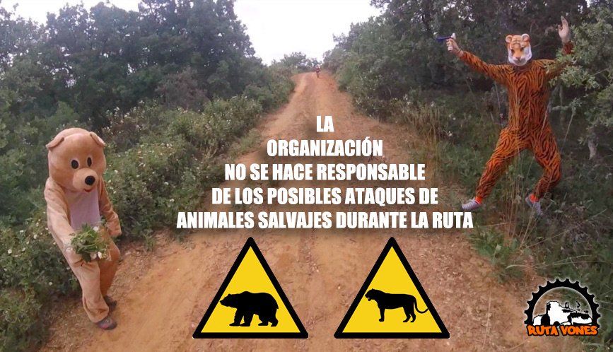 LosTavones's tweet photo. La Gamba de Valdavia anda al acecho... https://t.co/zSdxwhDxFj