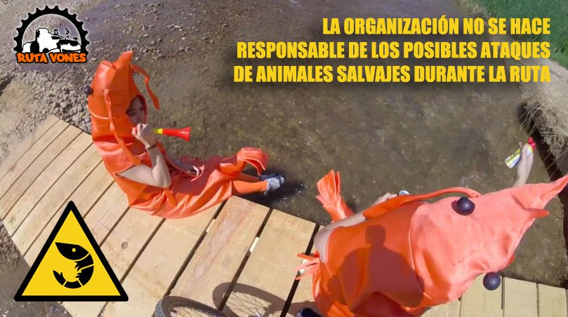 La Gamba de Valdavia anda al acecho...