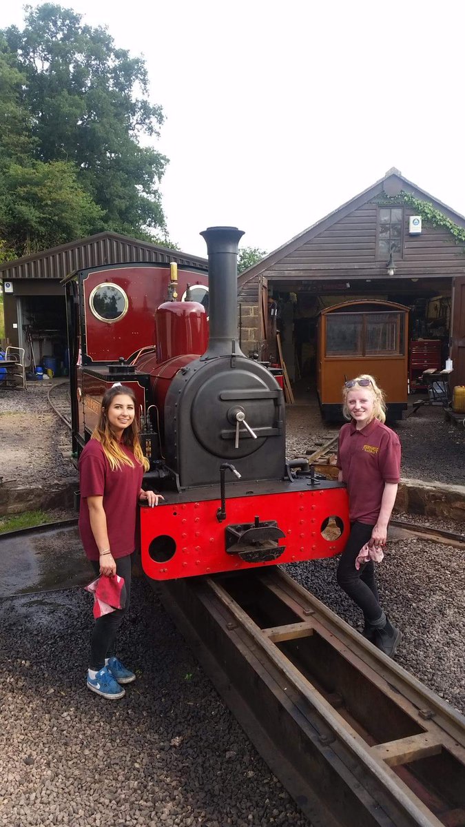 Just for #InternationalWomensDay  our female driver and guard #IWD2017 #deanwye