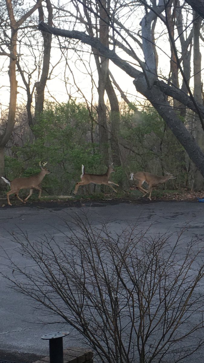 Nashville37215's tweet photo. Traffic in Forest Hills ☀️#nashville @WKRN https://t.co/ctzWgmWq3F