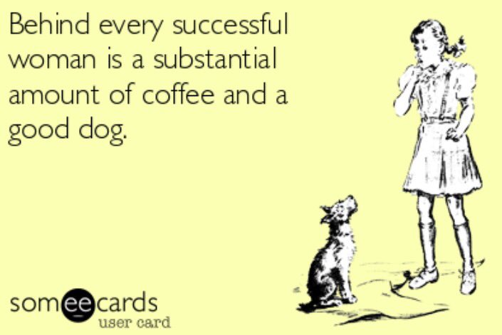 The Old Stables tweet media