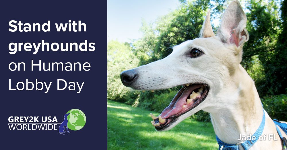 Please join Grey2k Executive Director Carey Theil in Tallahassee for Florida Humane Lobby Day 2017 day March 22!
grey2kusa.org/eNEWS/G2K-0307…