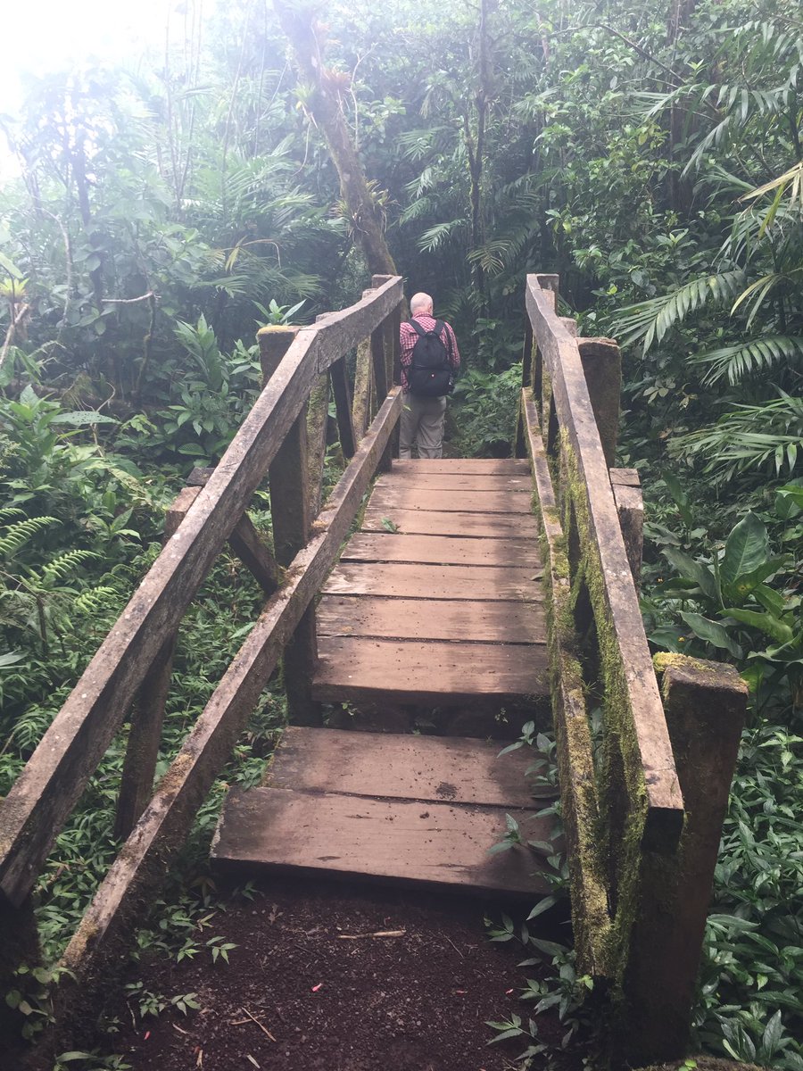 TravelMagazine's tweet photo. Images of #visitnicaragua Can you spot the sloth https://t.co/hwFV8HIwbf