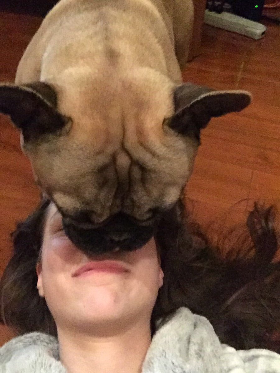 OdinBroOfWalt's tweet photo. Lurve my human sis #family https://t.co/4dSZwfXFaT