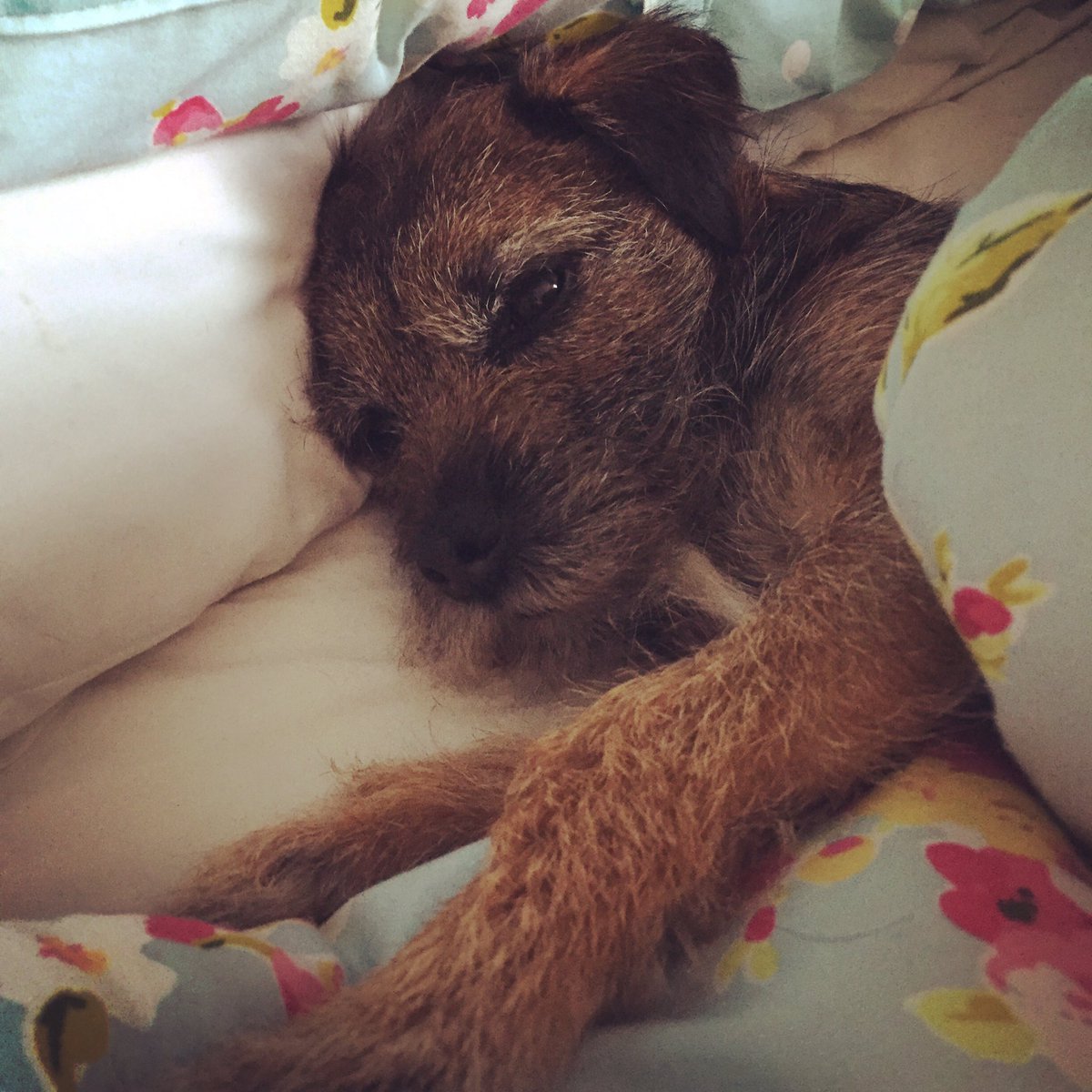 The wee man getting in my bed straight after I get out x