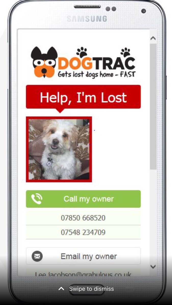 trac_dog's tweet image. RT. Please Help, Join Dog Watch for FREE, add you contact name &amp;amp; post code and help lost dogs get home dogtrac.com/register/?t=do…