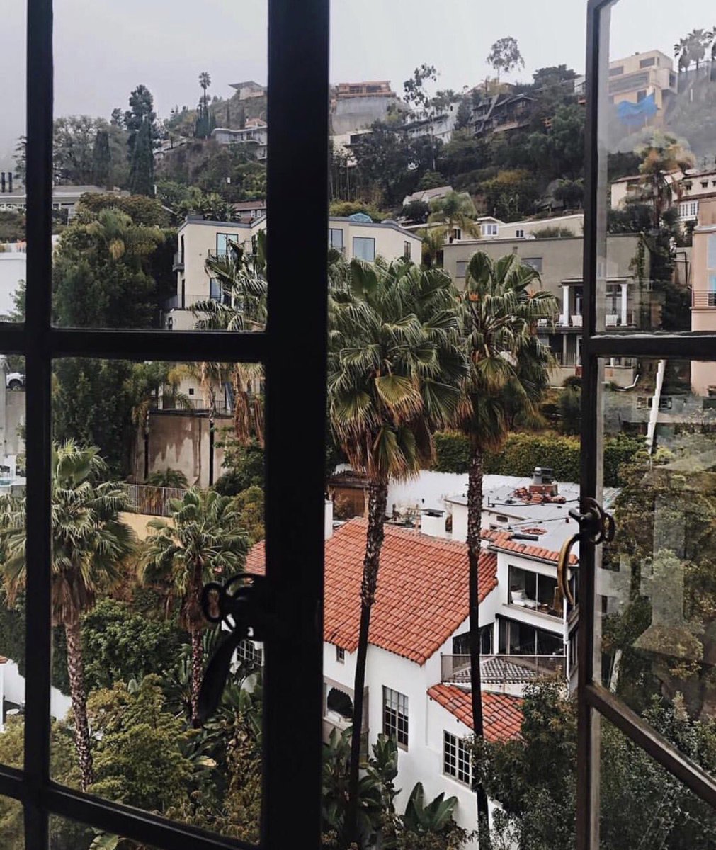 eugen_root's tweet image. 🌴 #roottattoo #rootlife