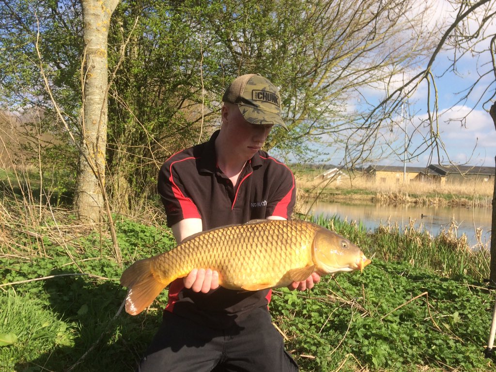 SkipseyTom's tweet photo. Great afternoon fishing after lectures, here's one of Severn fish which I caught 
@thelastyard14 @CoreBaits_uk @carpology https://t.co/XNaGJV3sr3