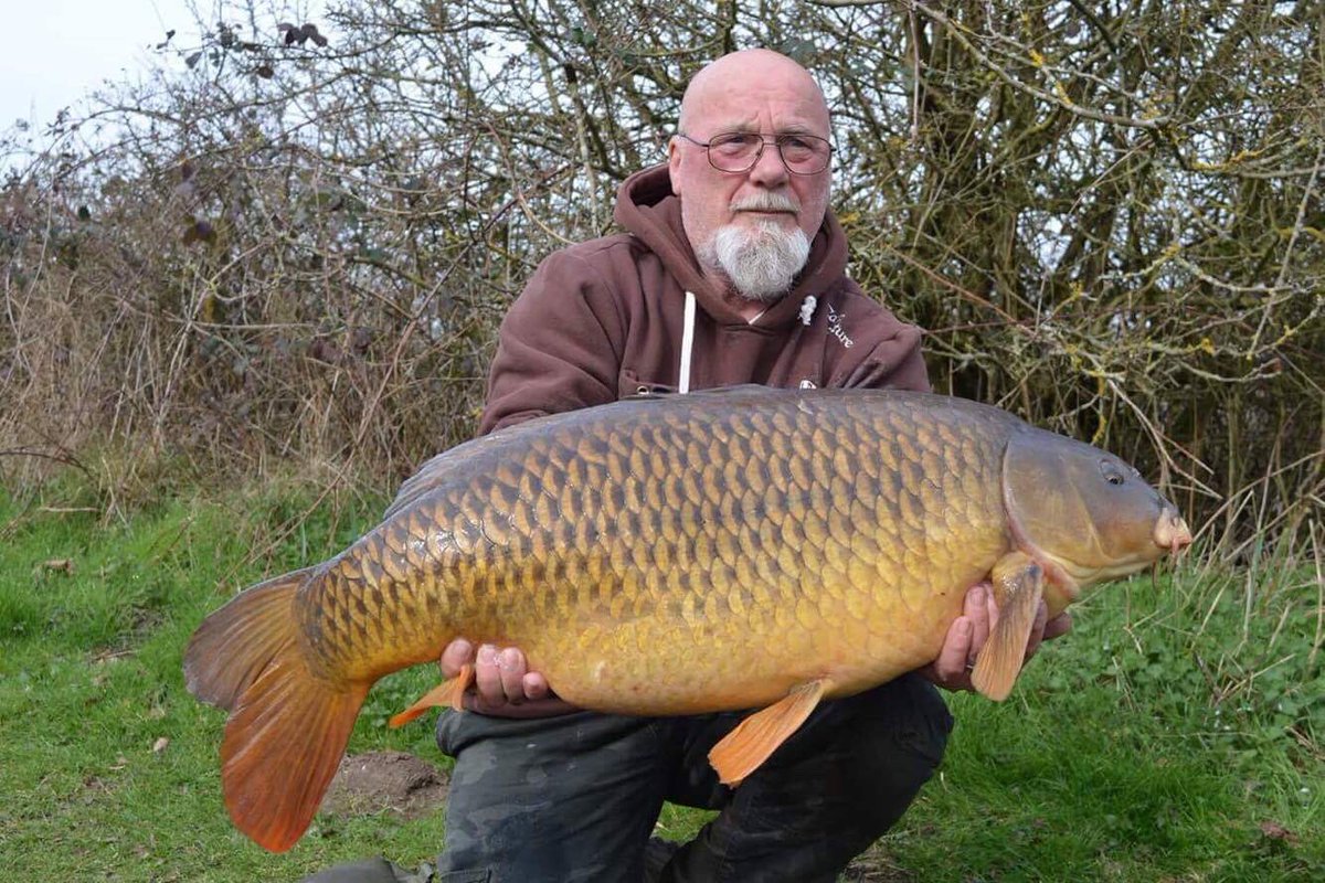 MoyesMichael's tweet photo. MKF Tonfords long common at 35lb caught over a spread of ID Bait developments boilies https://t.co/G82yoVXv2D