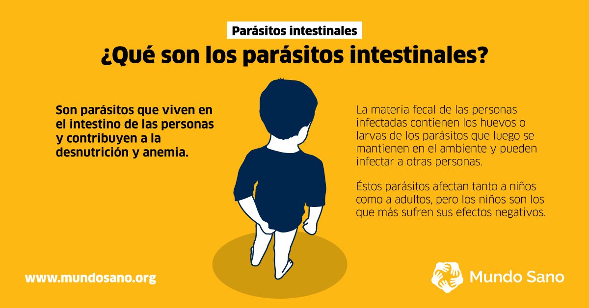 MundoSano's tweet photo. Las geohelmintiasis -parasitosis transmitidas a través del suelo- afectan gravemente a los niños en edad escolar 
https://t.co/eJ7GA11Rky https://t.co/YjFLGEdnXb