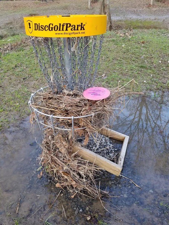 upperparkdg's tweet image. Does it count? #discgolfproblems