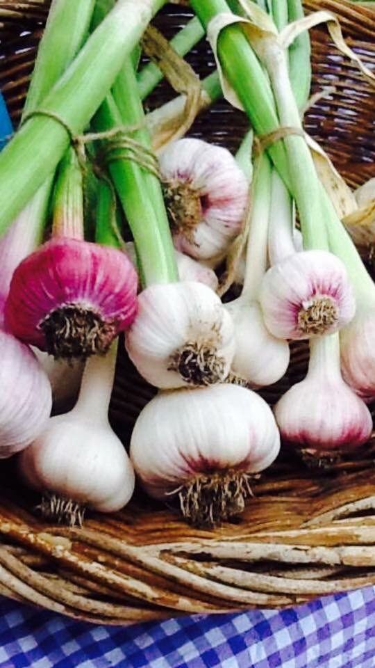 Looking forward to another great market Friday 4pm-8pm this time of year is great for local growers #Canberra