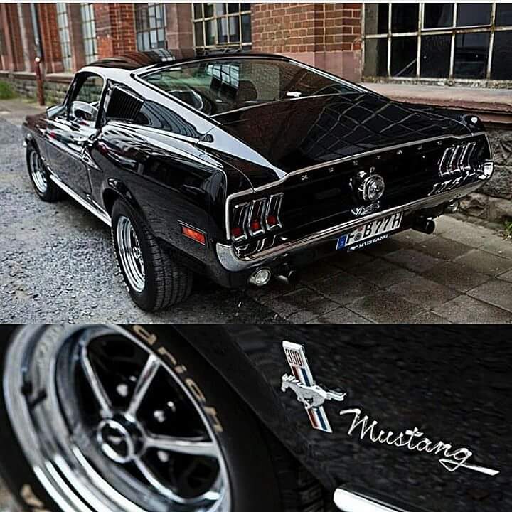 AraDeLevy's tweet photo. Yo no quiero un caballo de 4 patas🐎, yo quiero un caballo de 4 ruedas🚘 #Mustang #AmorPorLas4Ruedas #MiPasión #PiCom https://t.co/qPHbgcEbvB