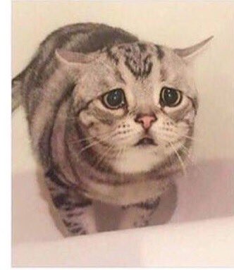 When bae says no to me