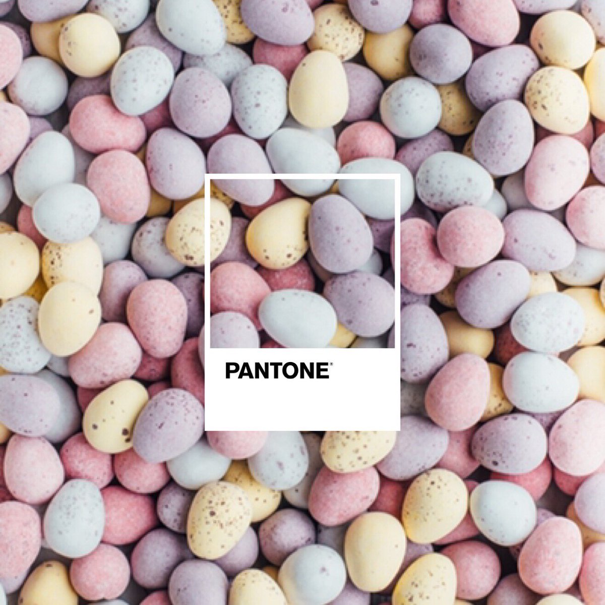 bronpayne's tweet photo. More colour inspiration #colours #colourpop #colourful #ilovecolour #colourinspiration #pantone #colouring #coloursample #coloursampling https://t.co/sYkaRvZHVn