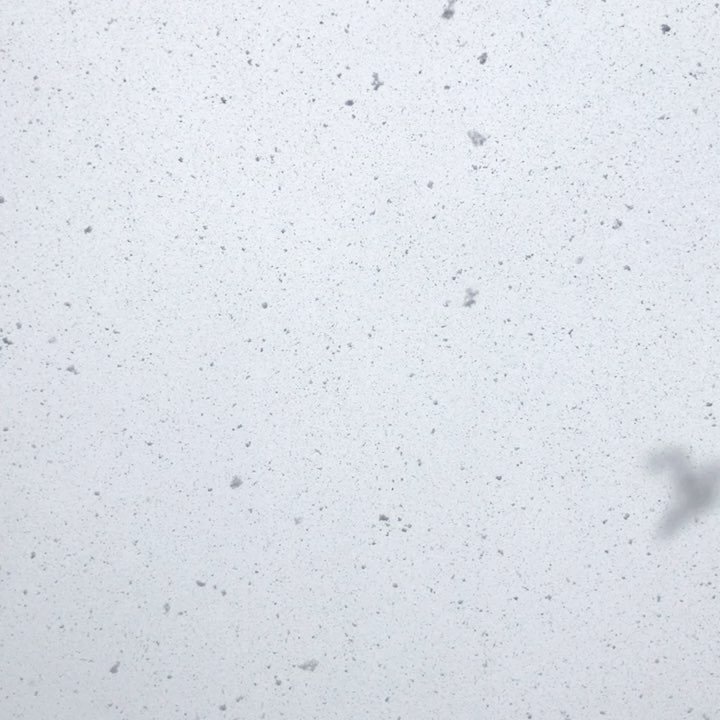 thadw44's tweet photo. Crazy snow day! #indoortrackpractice Watch #Instavideo:https://t.co/GCECUiqCKi https://t.co/LEFZSUtjxe