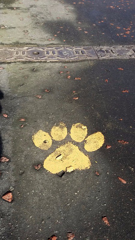 PenrithOrange's tweet photo. A sneaky bear has hidden marmalade round #Penrith with letters on jars. Find them all, reveal the secret word &amp; you could win £50 voucher https://t.co/qEWqdasSUE