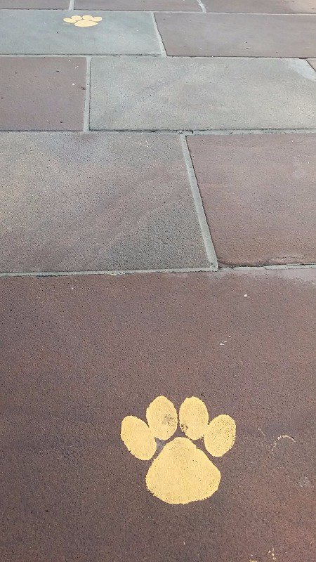 PenrithOrange's tweet photo. A sneaky bear has hidden marmalade round #Penrith with letters on jars. Find them all, reveal the secret word &amp; you could win £50 voucher https://t.co/qEWqdasSUE