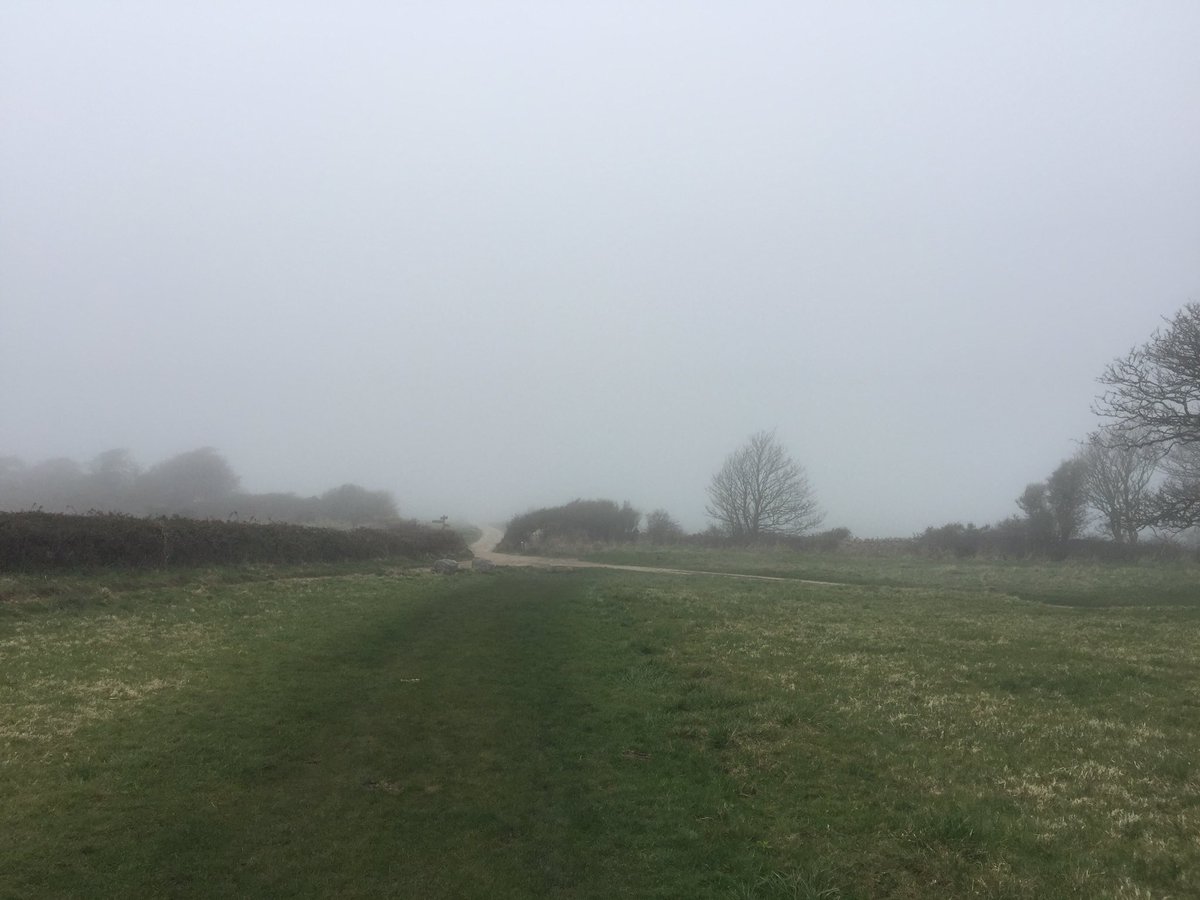 LeesonHouse's tweet photo. #mistywalk in #purbeck with #frimleyjuniorschool. https://t.co/wENsyU4hZg