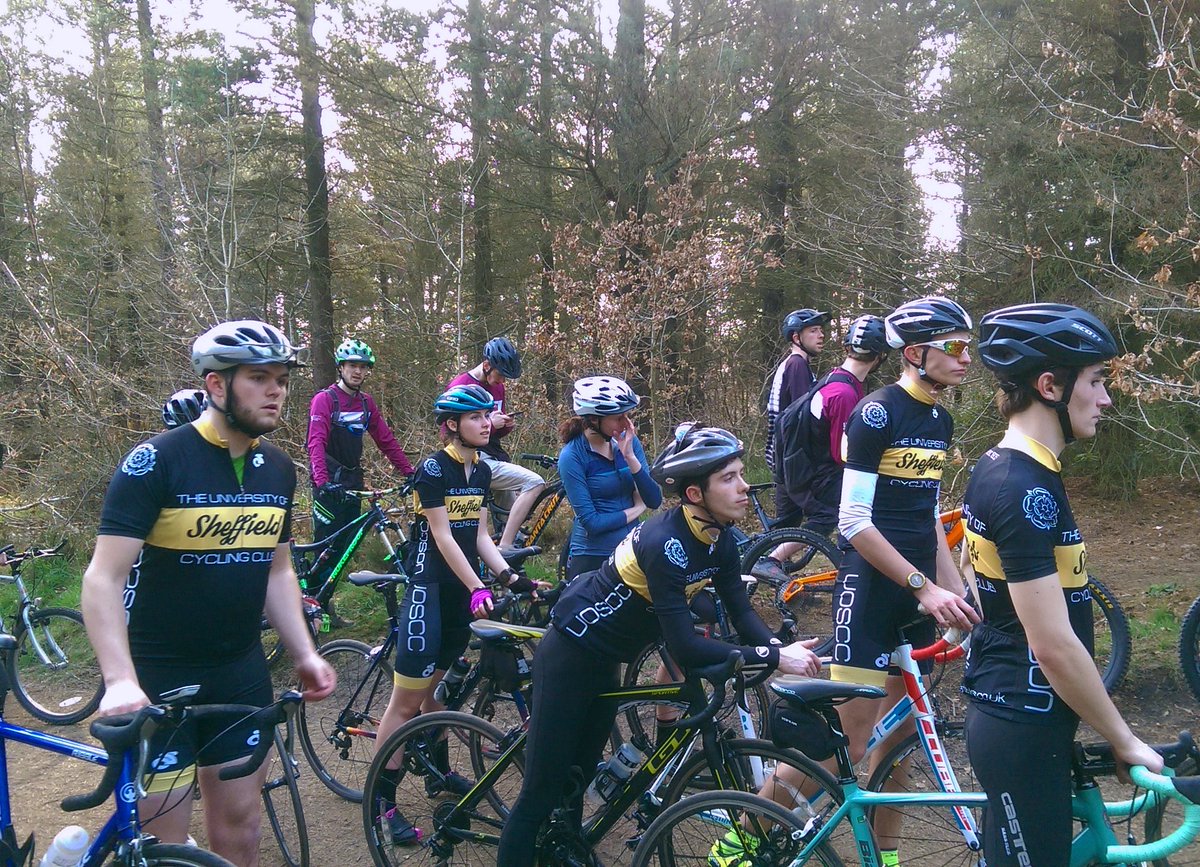 Forge Sport tweet media