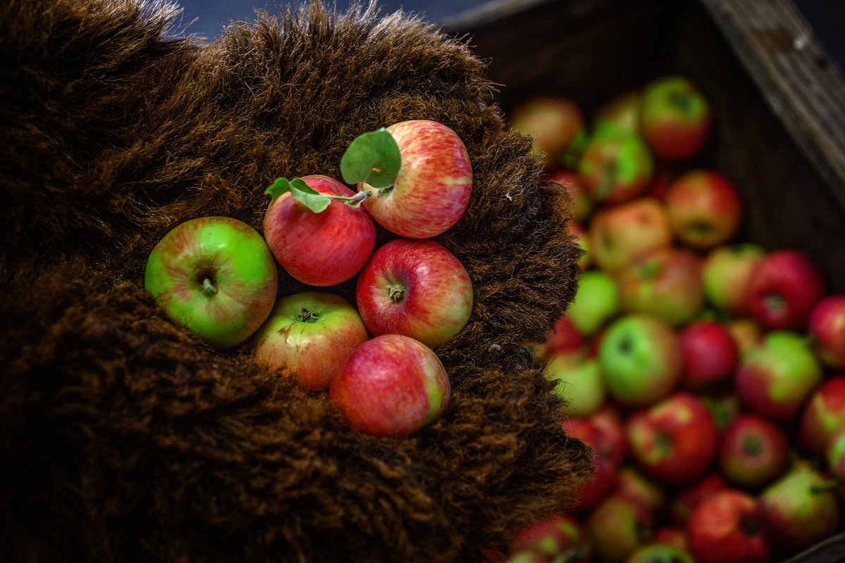 Get your cider fix at #BoonvilleBeerFest!
<a href="/2TownsCider/">2 Towns Ciderhouse</a> 
@ATLASCiderCo 
@CrispinCider 
<a href="/HumboldtCiderCo/">Humboldt Cider Co.</a>
<a href="/SonomaCider/">Sonoma Cider</a>
<a href="/SouthCityCider/">South City Cider</a>