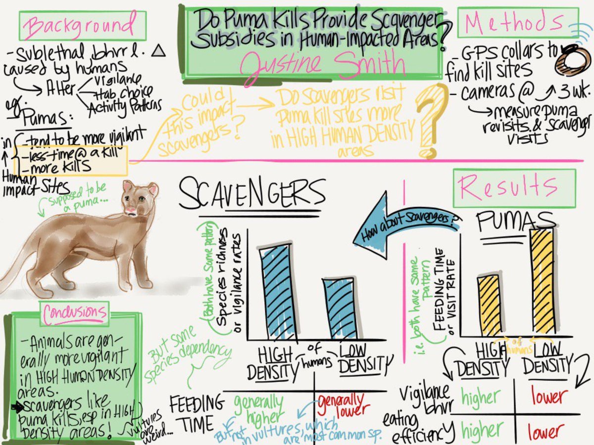 ImpactWales's tweet photo. Wow! Science teachers look at this from @mammalLady a sketchnote that's also the results from a science experiment. #dualcoding #draw4impact https://t.co/Tk92nrYhwS