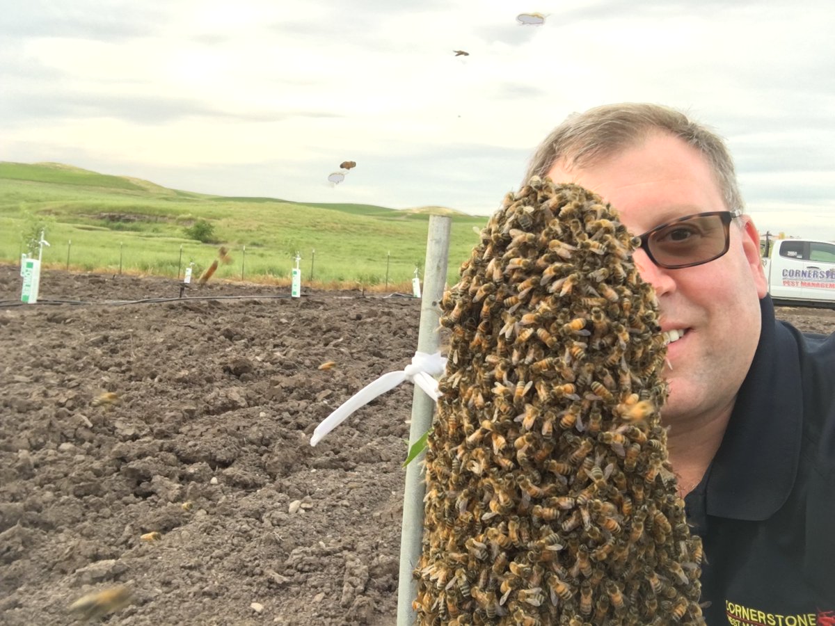 An exterminator’s mission to save bees ow.ly/V79r309WKtc #modesto