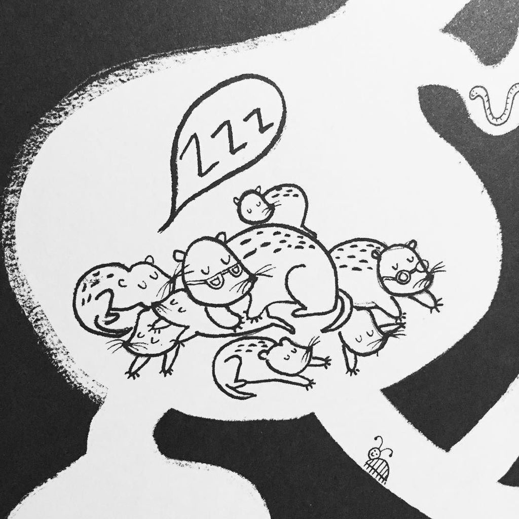 Lydiacoventry's tweet photo. Night night π΄ #illustration #illustrator #lydiacoventry #drawitcolouritbeasts #mole #ink #β¦ https://t.co/IWQtPFD1Un https://t.co/DKJPxDL09e