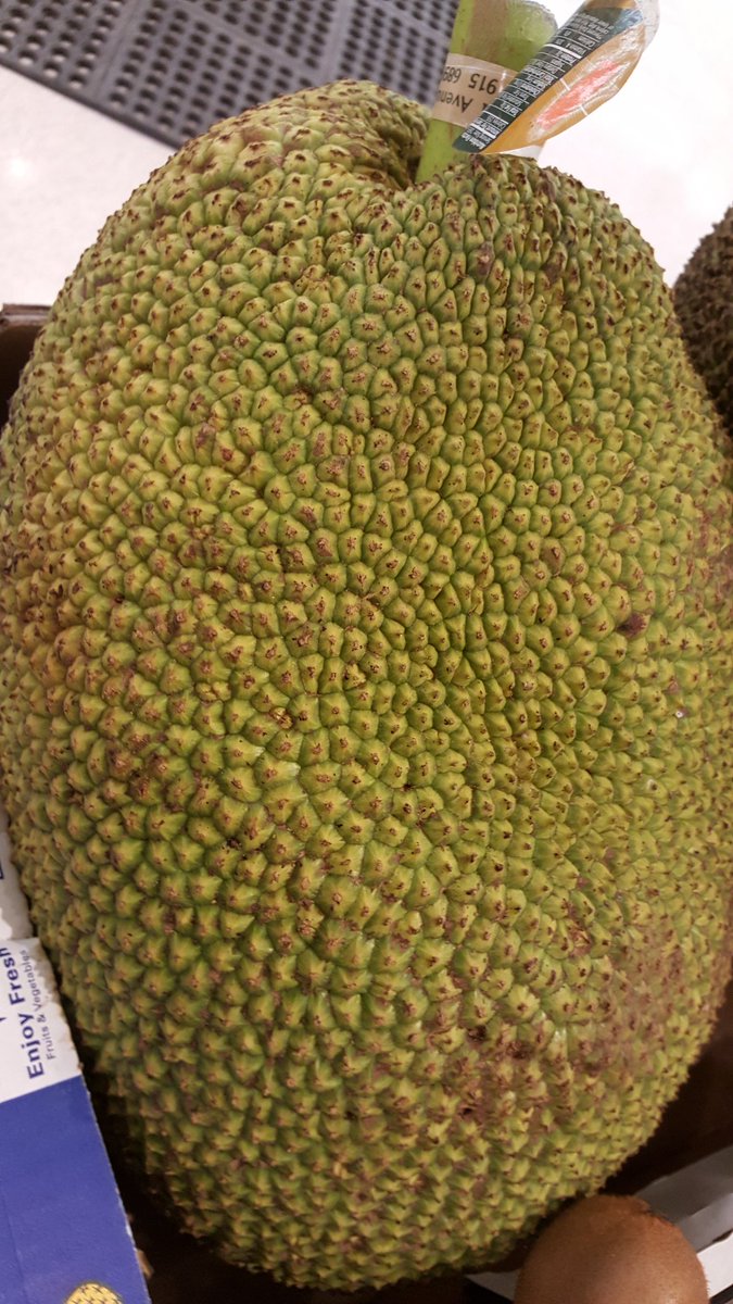 cincinbecker's tweet photo. Jack Fruit! Who knew @RealJackBennett ? https://t.co/TNzjR3hBo5
