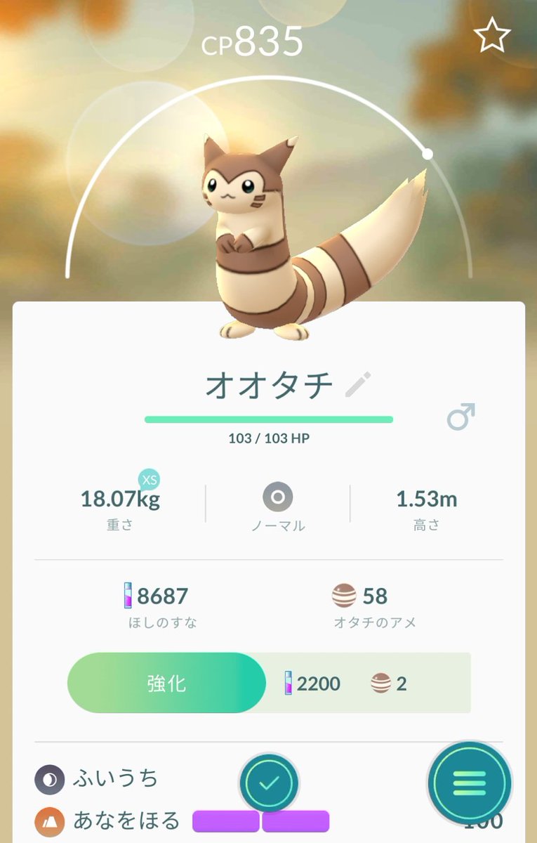 モモンガ ポケモン