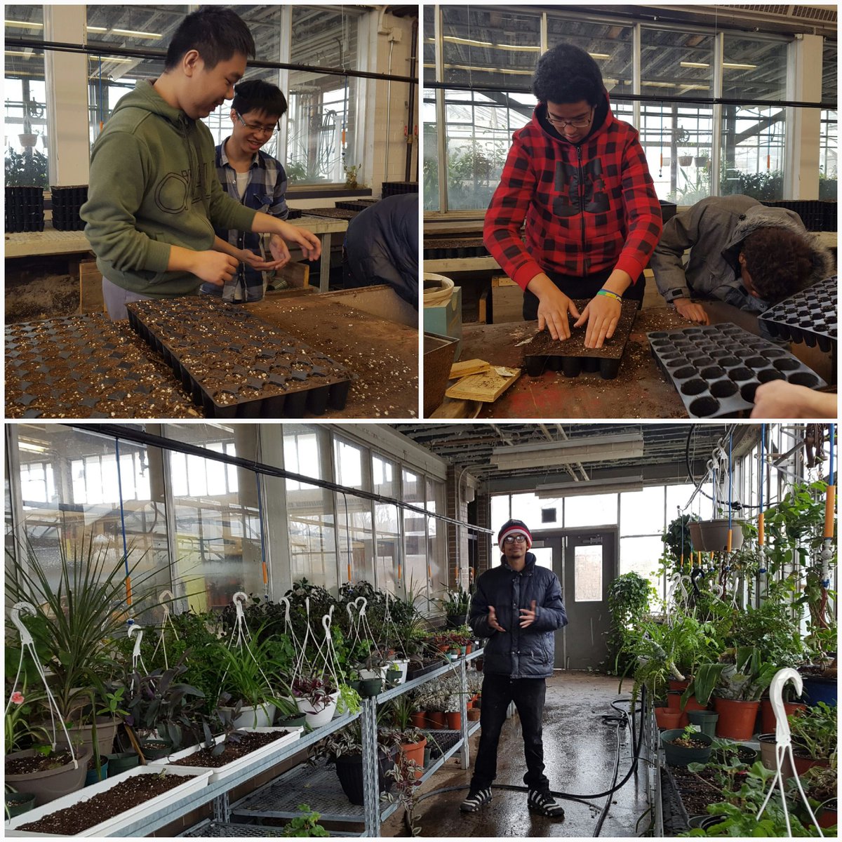 schoolgrownTO's tweet photo. Great students preparing for the 2017 growing season. Can't wait! https://t.co/9dTnLtHHjd