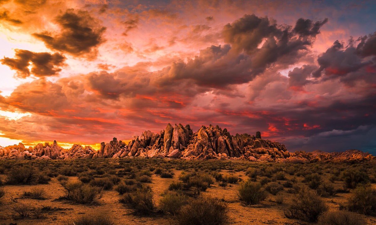 Bushes in the forefront with spire-like rock formations in the background and a sky that shifts from yellow, orange, pink, purple and blue from left to right