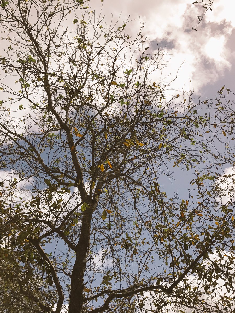 RonAlen9's tweet photo. @vmonokian #Spring2017PGY #vmonokian #Freeform https://t.co/lSyDbcecAd