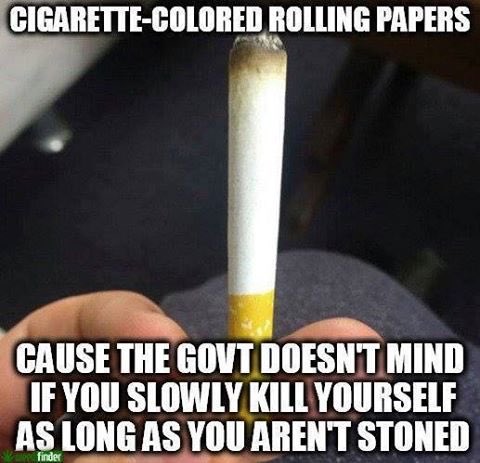 *sips tea* @Kooky_420 <a href="/MooShuShu/">Christian</a> <a href="/Hippie_of_Love/">Becca☮️💟✝️ 🇺🇲</a> <a href="/PoundBlunt/">Half Pound Blunt</a> @THCHeaven <a href="/CannaTalk_TV/">Canna Talk TV</a> <a href="/highergtv/">Higher Ground</a> <a href="/evergreen_canna/">Evergreen Cannabis</a> @SirBlunticus <a href="/pete0721/">Glass Assassin</a>