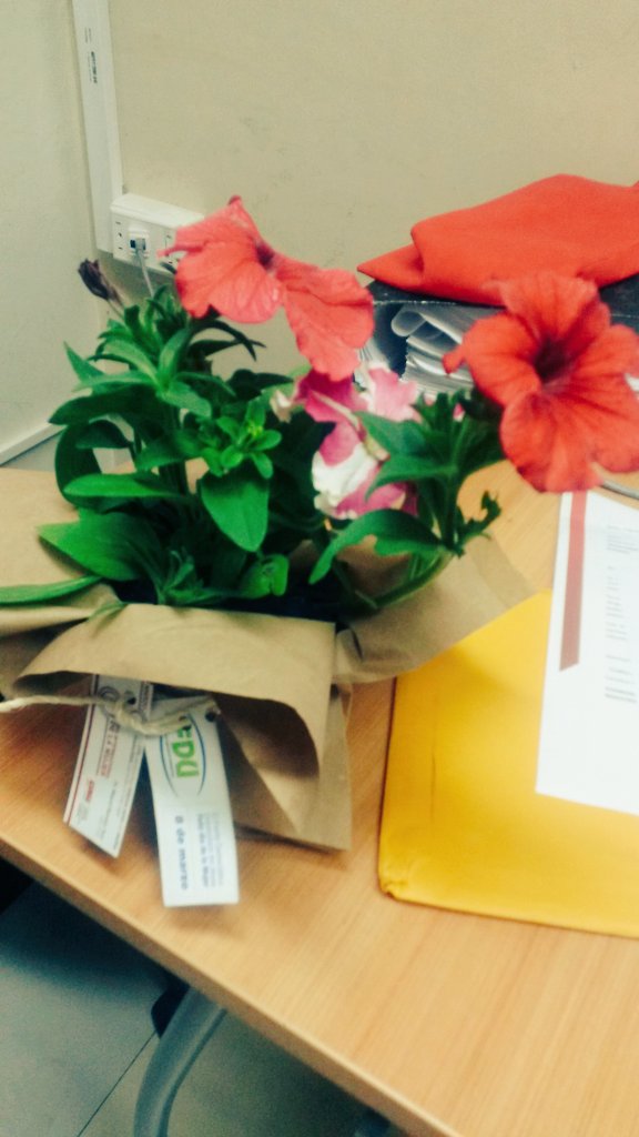 gcarolinac's tweet photo. Muchas gracias por tan lindo detalle y hacernos sentir todos los dìas lo valiosas que somos!!🌻😊 @ClaudiaDircom #OrgullosamenteUTN https://t.co/rl9PY1qStb